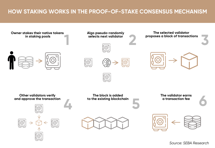 How Does Staking in Crypto Work?