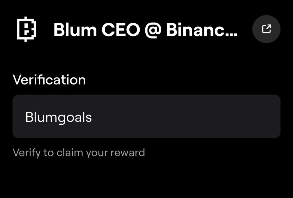 Blum CEO @ Binance Blum Code December 27