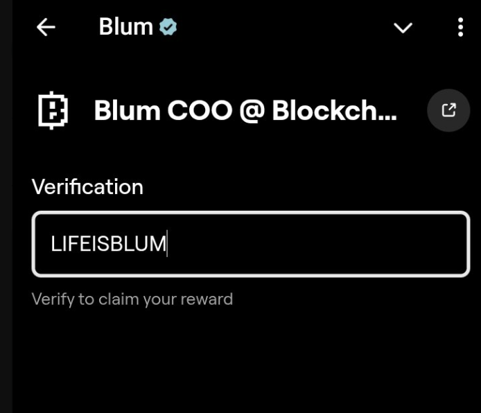 Blum CMO @ Blockchain Life Blum Code