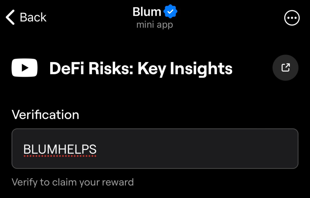 Defi Risks Key Insights Blum Code Task