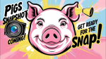 Grab 5 Million Pigs Tokens Today! Pigshouse Daily Combo Update – December 20-21