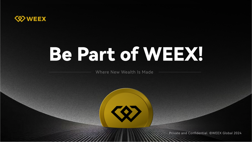 Key Crypto Slangs You Should Know on WEEX