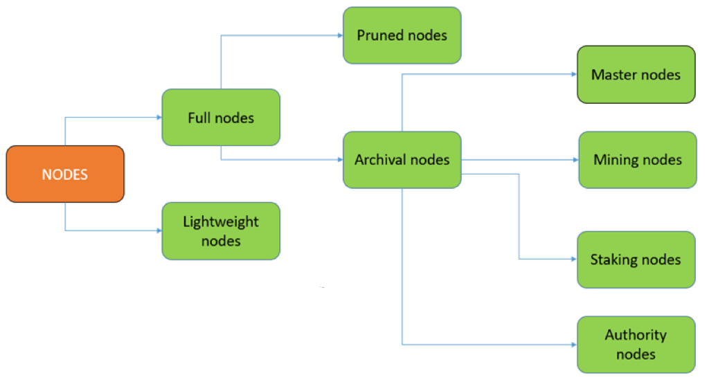 Types of Nodes in Blockchain