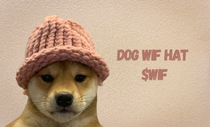 What is Dogwifhat?