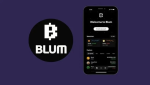 Blum Liquidity Pool Guide