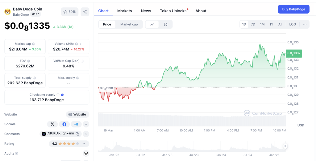 What is BABYDOGE Token