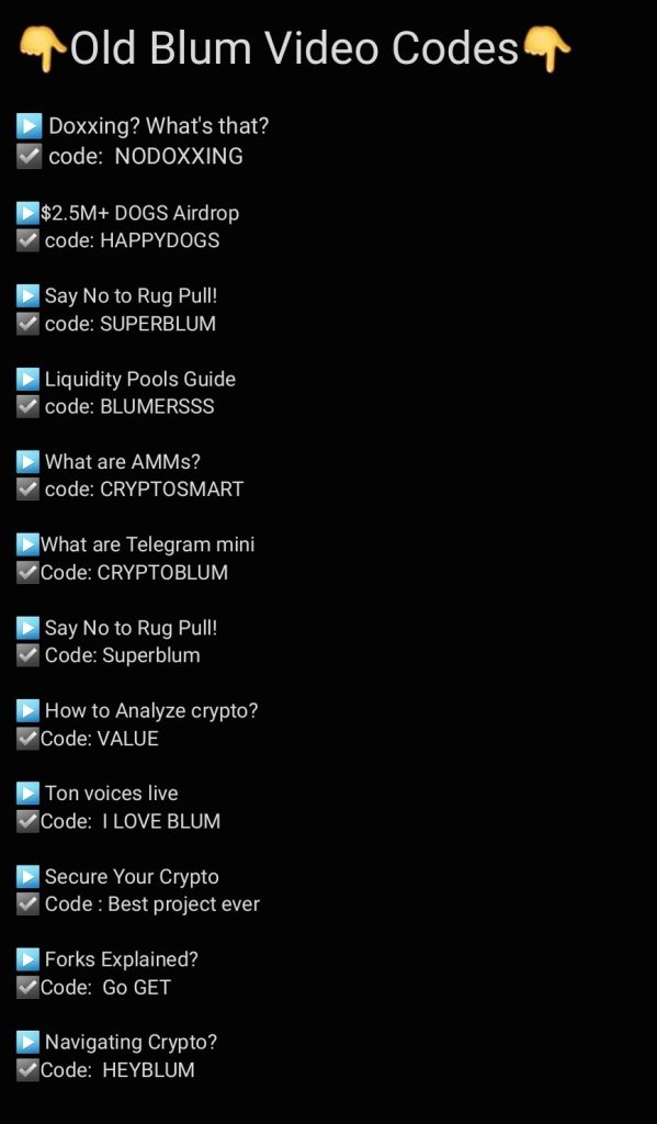 Summary of Previous Blum Video Codes