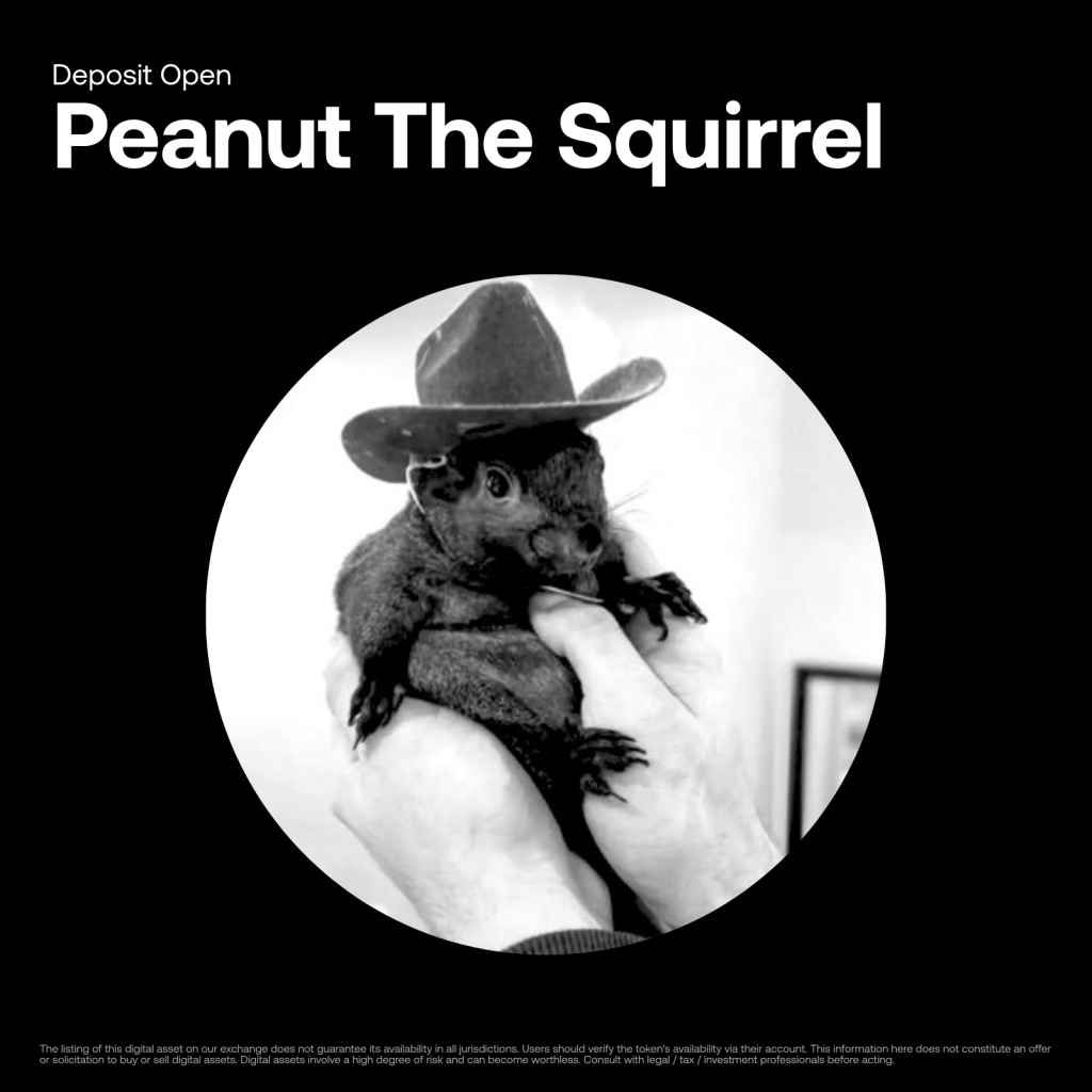 Peanut the Squirrel (PNUT-USDT)
