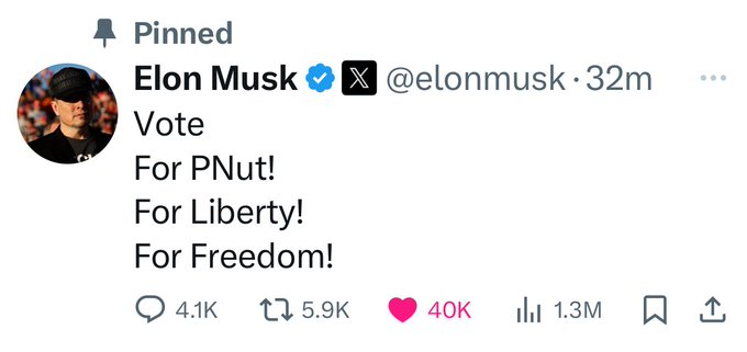 Musk’s Tweets are Driving PNUT’s Price to New Heights