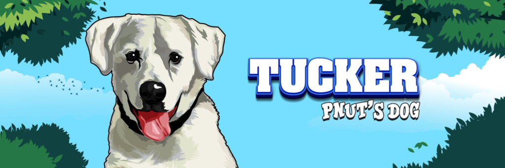 What is Pnut’s Dog? Exploring TUCKER-USDT Trading Pair