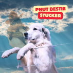 How to Buy Pnut’s Dog: A Step-by-Step Guide Using TUCKER-USDT